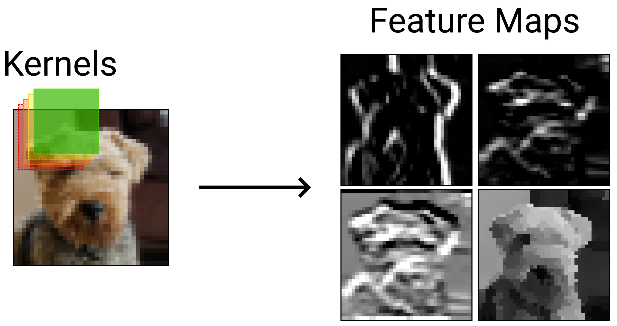 Multiple kernels convolve over an input image to form feature maps.